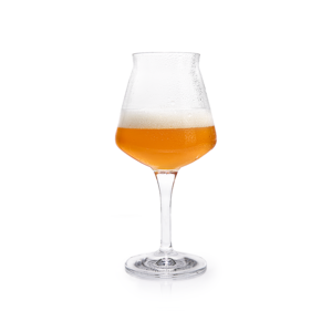 Gefülltes Sommelier Bierglas. Krombacher Sommelierglas gefüllt Bier vor weißem Hintergrund.